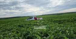 Venda de Fazenda Produtiva 1.678 hectares | Ribeirão Cascalheira/MT