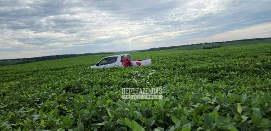 Venda de Fazenda Produtiva 1.678 hectares | Ribeirão Cascalheira/MT