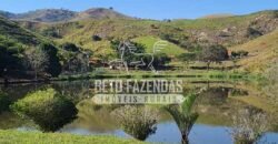 Fazenda à Venda com 48 alqueires Toda Pronta | São Sebastião do Alto/RJ