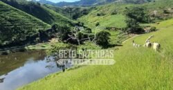 Fazenda à Venda com 48 alqueires Toda Pronta | São Sebastião do Alto/RJ