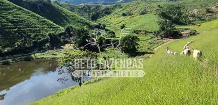 Fazenda à Venda com 48 alqueires Toda Pronta | São Sebastião do Alto/RJ