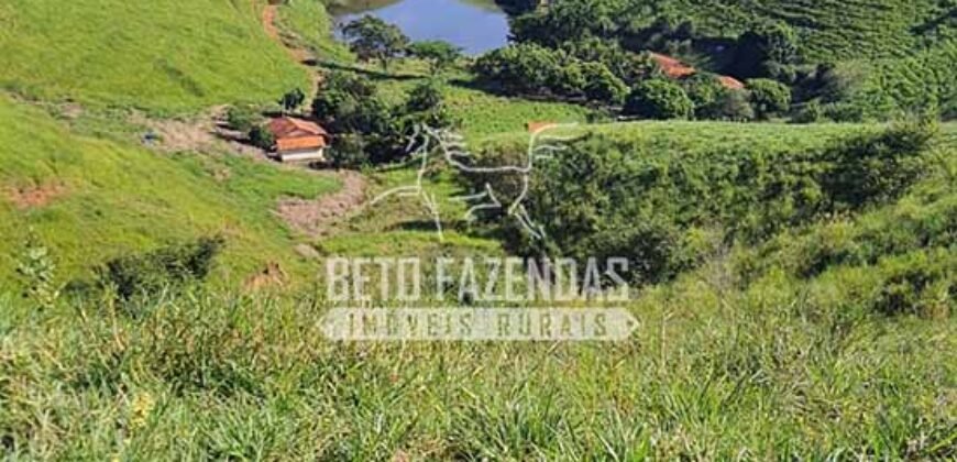 Fazenda à Venda com 48 alqueires Toda Pronta | São Sebastião do Alto/RJ