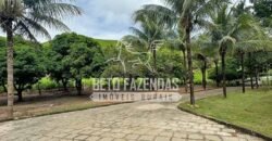 Fazenda à Venda com 48 alqueires Toda Pronta | São Sebastião do Alto/RJ