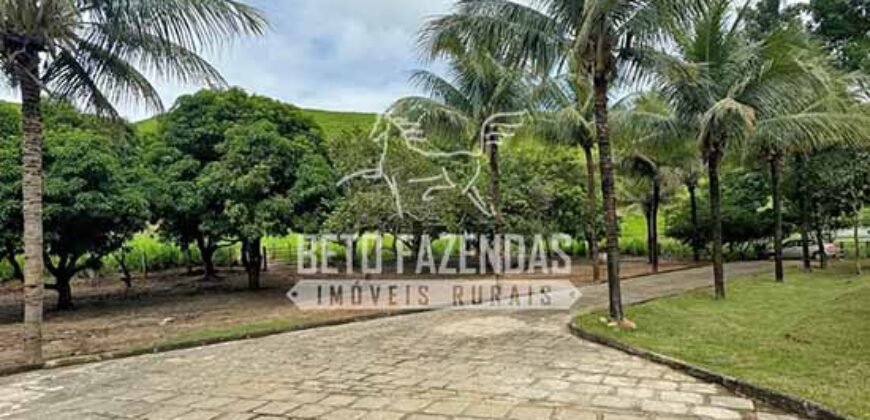 Fazenda à Venda com 48 alqueires Toda Pronta | São Sebastião do Alto/RJ