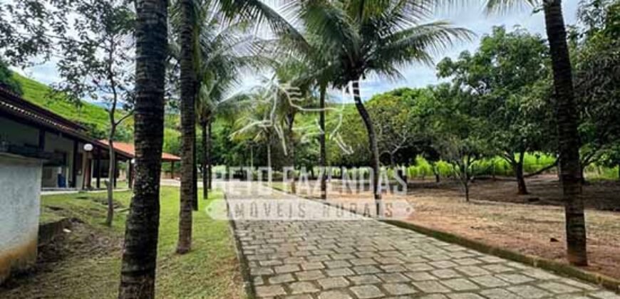 Fazenda à Venda com 48 alqueires Toda Pronta | São Sebastião do Alto/RJ