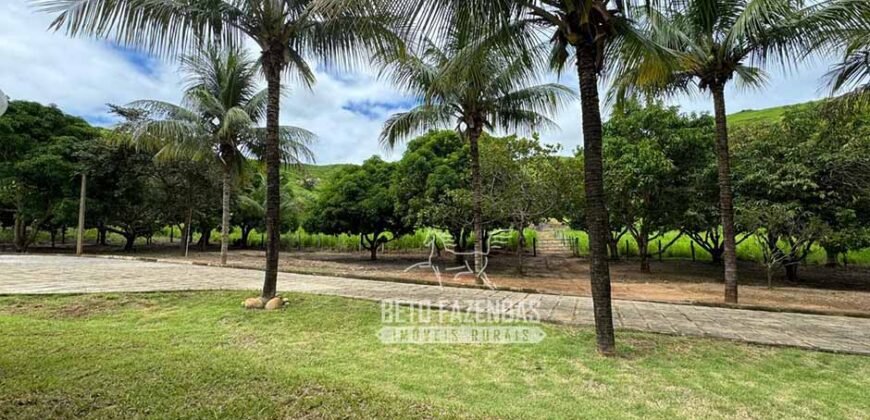 Fazenda à Venda com 48 alqueires Toda Pronta | São Sebastião do Alto/RJ