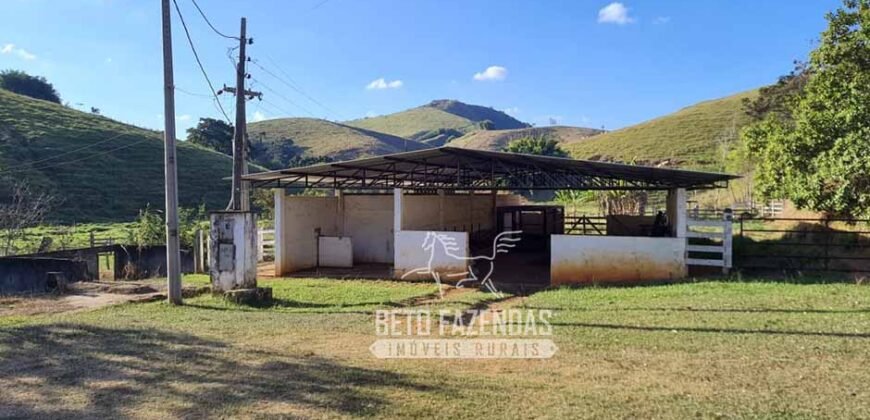 Fazenda à Venda com 48 alqueires Toda Pronta | São Sebastião do Alto/RJ