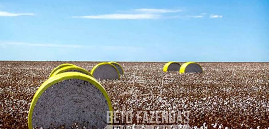 Fazenda à Venda Alta Produtividade com 15.000 hectares | Campo Verde/MT