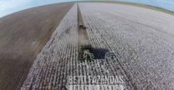 Fazenda à Venda Alta Produtividade com 15.000 hectares | Campo Verde/MT