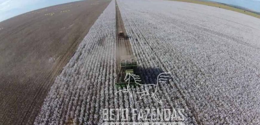 Fazenda à Venda Alta Produtividade com 15.000 hectares | Campo Verde/MT