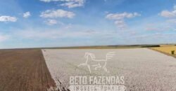 Fazenda à Venda Alta Produtividade com 15.000 hectares | Campo Verde/MT