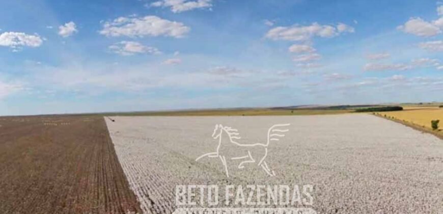 Fazenda à Venda Alta Produtividade com 15.000 hectares | Campo Verde/MT