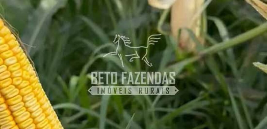 Fazenda à Venda Alta Produtividade com 15.000 hectares | Campo Verde/MT