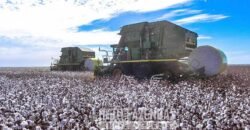 Fazenda à Venda Alta Produtividade com 15.000 hectares | Campo Verde/MT