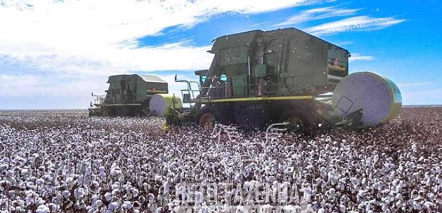 Fazenda à Venda Alta Produtividade com 15.000 hectares | Campo Verde/MT