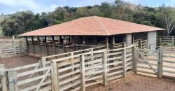 Fazenda à Venda 237 hectares Completa | Senador Modestino/MG