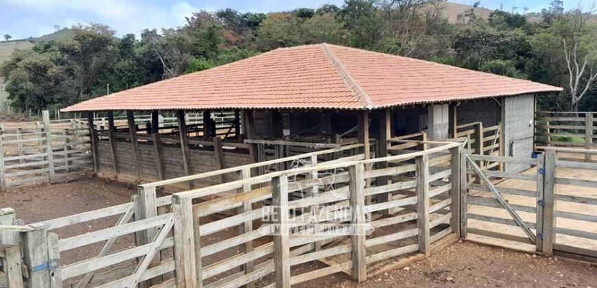 Fazenda à Venda 237 hectares Completa | Senador Modestino/MG