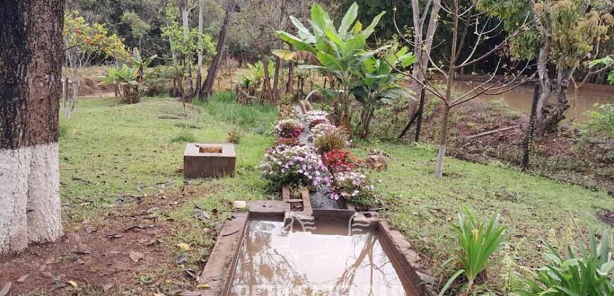 Fazenda à Venda 237 hectares Completa | Senador Modestino/MG