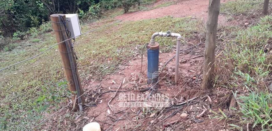 Fazenda à Venda 237 hectares Completa | Senador Modestino/MG