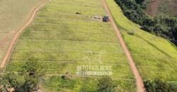 Fazenda à Venda 237 hectares Completa | Senador Modestino/MG