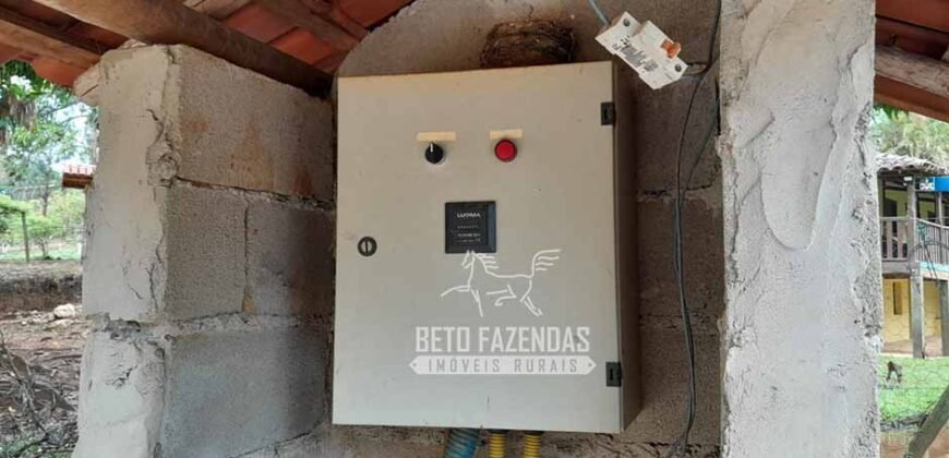 Fazenda à Venda 237 hectares Completa | Senador Modestino/MG