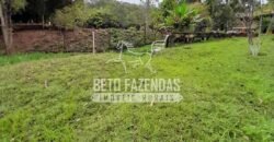 Fazenda à Venda 237 hectares Completa | Senador Modestino/MG