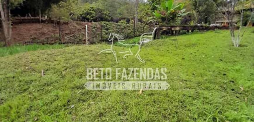 Fazenda à Venda 237 hectares Completa | Senador Modestino/MG