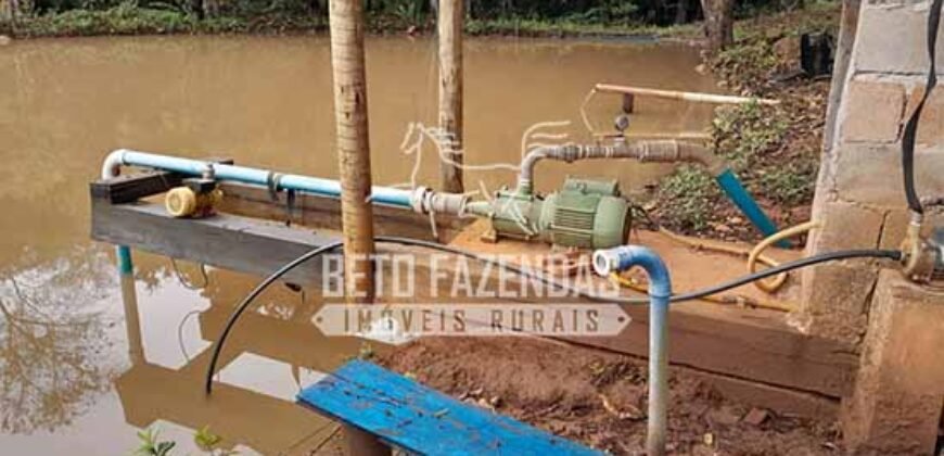 Fazenda à Venda 237 hectares Completa | Senador Modestino/MG