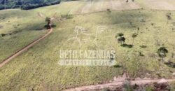 Fazenda à Venda 237 hectares Completa | Senador Modestino/MG