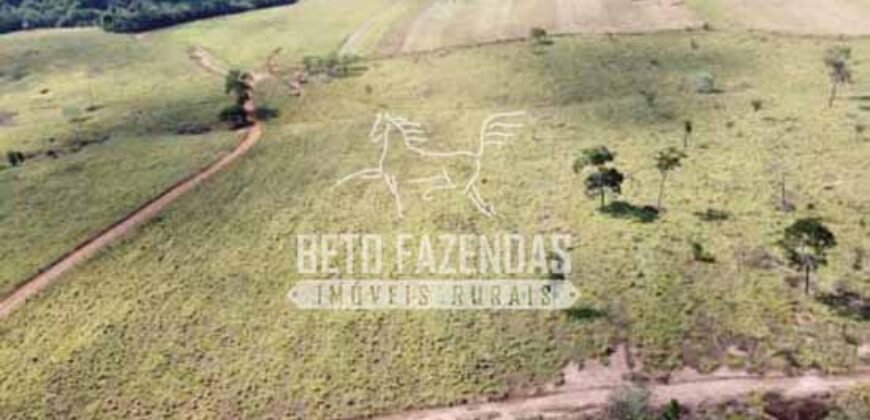 Fazenda à Venda 237 hectares Completa | Senador Modestino/MG