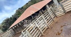 Fazenda à Venda 237 hectares Completa | Senador Modestino/MG