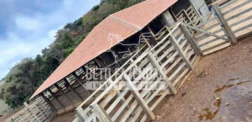 Fazenda à Venda 237 hectares Completa | Senador Modestino/MG