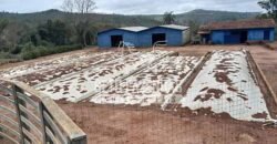 Fazenda à Venda 237 hectares Completa | Senador Modestino/MG