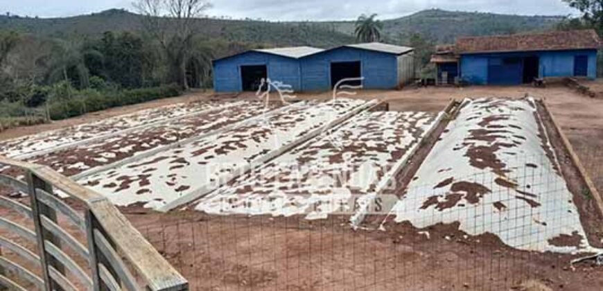 Fazenda à Venda 237 hectares Completa | Senador Modestino/MG