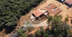Fazenda à Venda 237 hectares Completa | Senador Modestino/MG