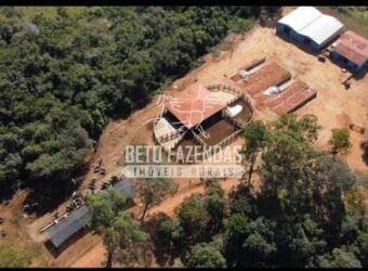 Fazenda à Venda 237 hectares Completa | Senador Modestino/MG Fazenda à Venda 237 hectares Completa | Senador Modestino/MG