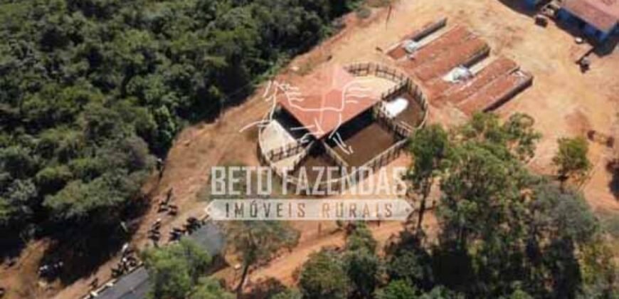 Fazenda à Venda 237 hectares Completa | Senador Modestino/MG