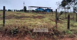 Fazenda à Venda 237 hectares Completa | Senador Modestino/MG