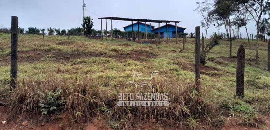 Fazenda à Venda 237 hectares Completa | Senador Modestino/MG