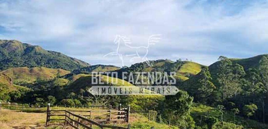 Fazenda à Venda 100 Alqueires em Maria Mendonça | Trajano de Moraes/RJ Fazenda à Venda 100 Alqueires em Maria Mendonça | Trajano de Moraes/RJ
