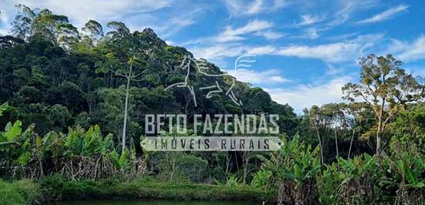 Fazenda à Venda 100 Alqueires em Maria Mendonça | Trajano de Moraes/RJ Fazenda à Venda 100 Alqueires em Maria Mendonça | Trajano de Moraes/RJ