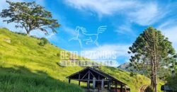 Fazenda à Venda 100 Alqueires em Maria Mendonça | Trajano de Moraes/RJ Fazenda à Venda 100 Alqueires em Maria Mendonça | Trajano de Moraes/RJ