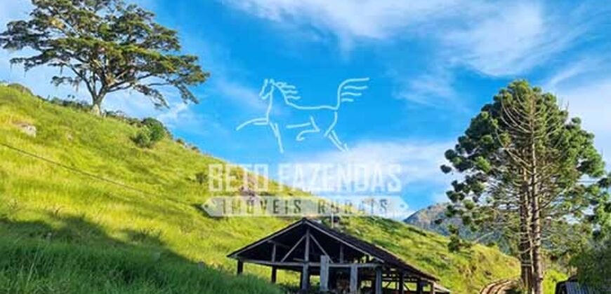 Fazenda à Venda 100 Alqueires em Maria Mendonça | Trajano de Moraes/RJ Fazenda à Venda 100 Alqueires em Maria Mendonça | Trajano de Moraes/RJ