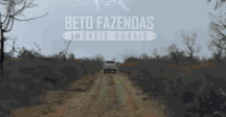 Fazenda Extensiva 3.150 has com Alto Potencial no Norte de Minas | Boacaiúva/ MG Fazenda Extensiva 3.150 has com Alto Potencial no Norte de Minas | Boacaiúva/ MG