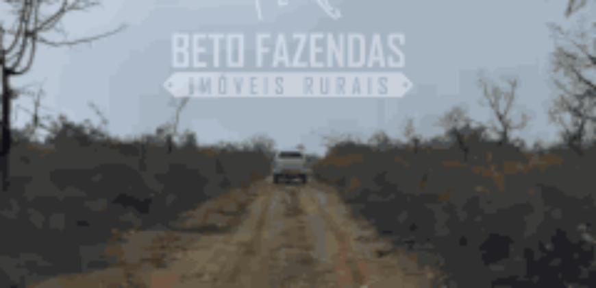 Fazenda Extensiva 3.150 has com Alto Potencial no Norte de Minas | Boacaiúva/ MG Fazenda Extensiva 3.150 has com Alto Potencial no Norte de Minas | Boacaiúva/ MG