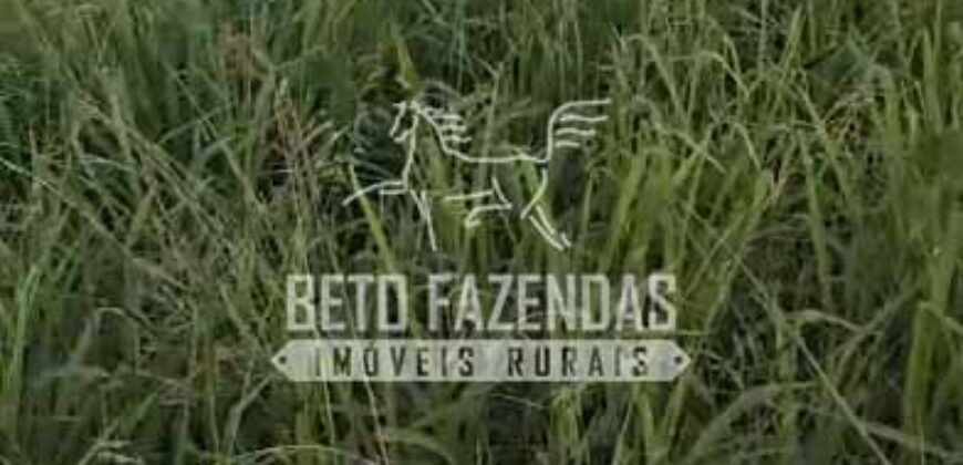 Venda de 3 Fazendas total de 3.150 has Pecuária e Lavoura | Paranatinga/MT Venda de 3 Fazendas total de 3.150 has Pecuária e Lavoura | Paranatinga/MT