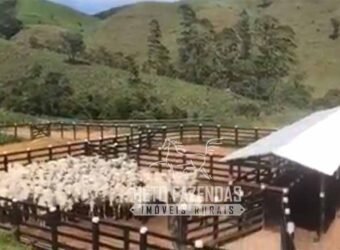 Fazenda à Venda 100 Alqueires em Maria Mendonça | Trajano de Moraes/RJ