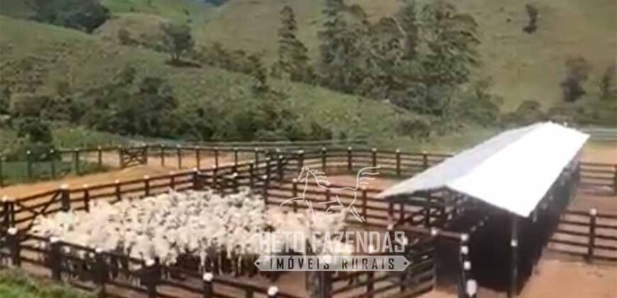 Fazenda à Venda 100 Alqueires em Maria Mendonça | Trajano de Moraes/RJ Fazenda à Venda 100 Alqueires em Maria Mendonça | Trajano de Moraes/RJ