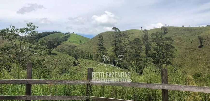 Fazenda à Venda 100 Alqueires em Maria Mendonça | Trajano de Moraes/RJ Fazenda à Venda 100 Alqueires em Maria Mendonça | Trajano de Moraes/RJ