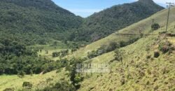 Fazenda à Venda 100 Alqueires em Maria Mendonça | Trajano de Moraes/RJ Fazenda à Venda 100 Alqueires em Maria Mendonça | Trajano de Moraes/RJ